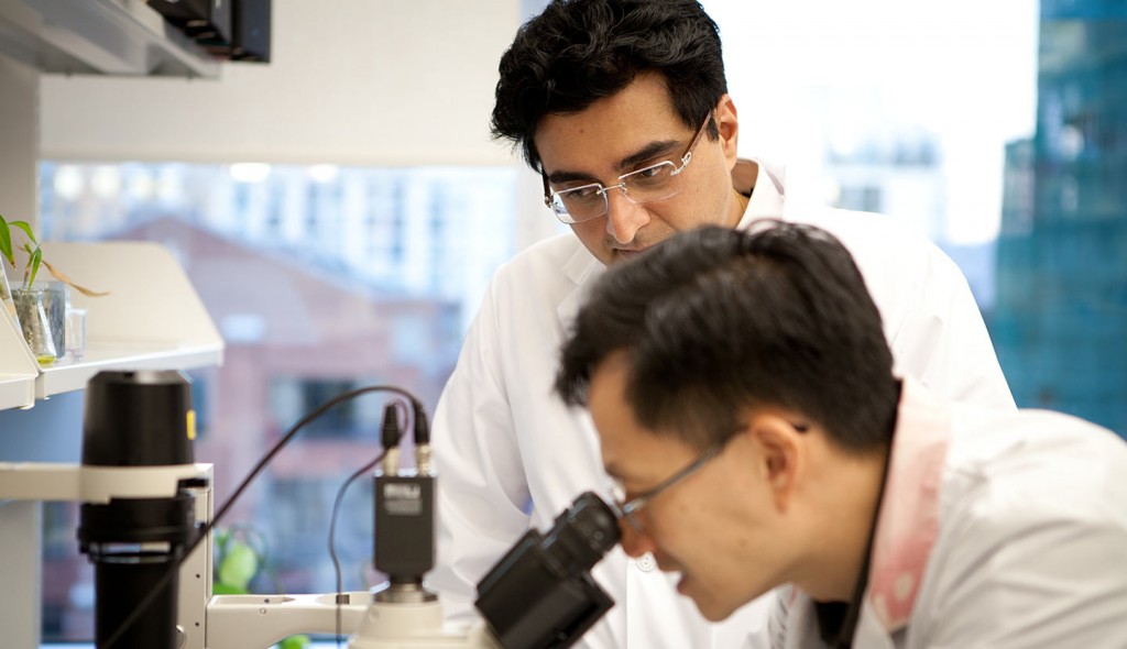 Dr. Verma in the Lab